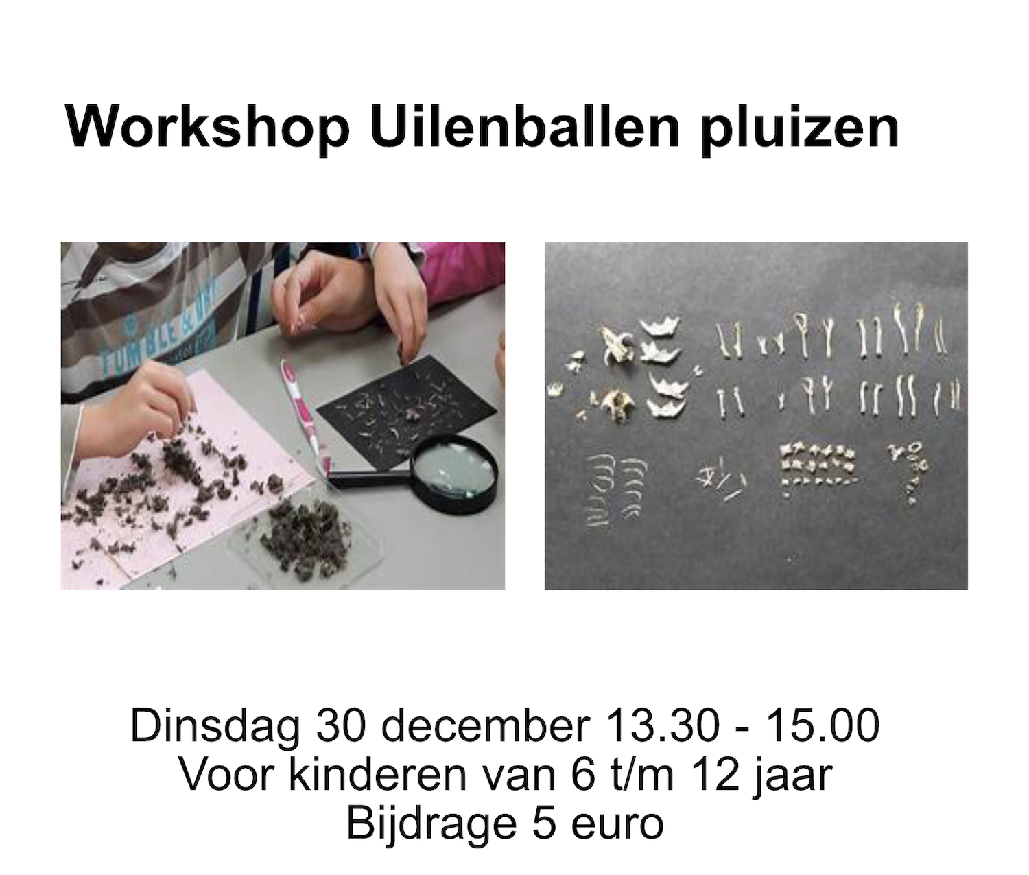 Workshop UIlenballen pluizen 2025