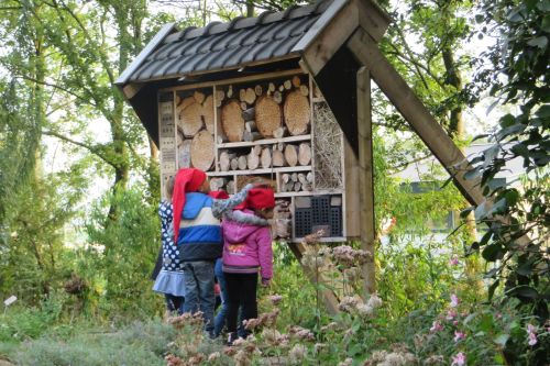 Foto van insektenhotel met kinderen die kabouterpad lopen